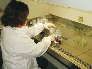 Controle de qualidade - Cesama realizou 600 análises de água em setembro