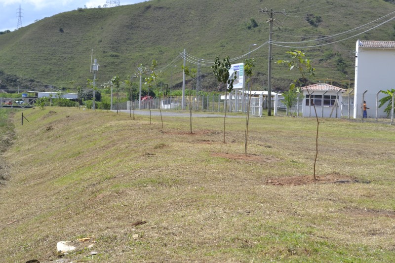 Estação de Tratamento de Esgoto Barbosa Lage recebe cortina verde