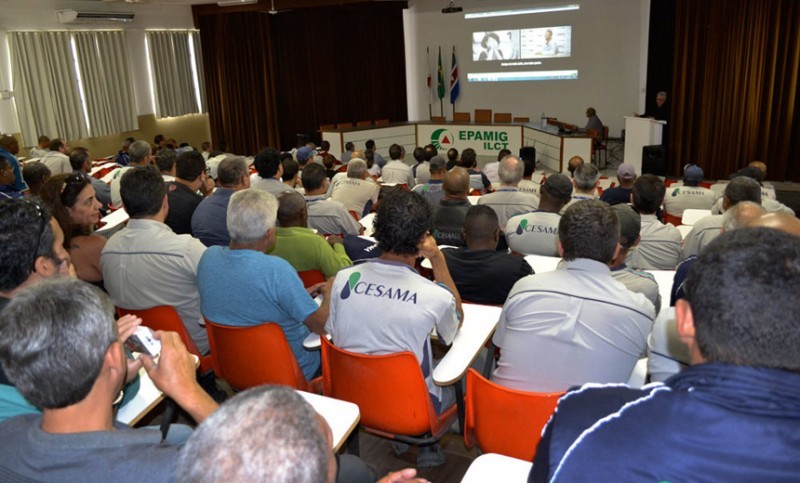 Cesama encerra Sipat nesta quarta-feira