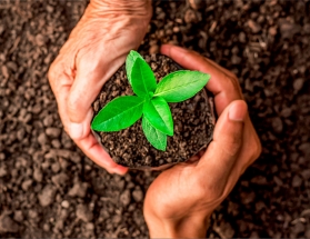 Prefeitura promove ação para comemorar o “Dia Mundial do Meio Ambiente”