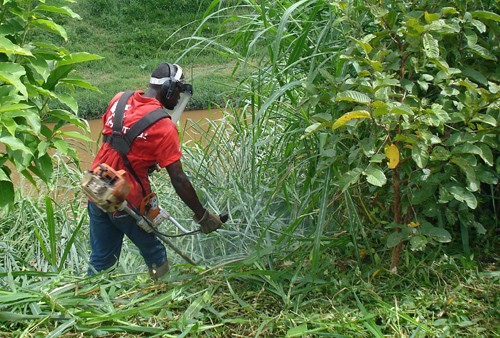 Bairros Vale do Ipê e Tiguera recebem serviços de limpeza de córregos nesta quinta-feira