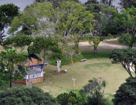 Distribuição de Mudas Ornamentais no Dia Mundial do Meio Ambiente