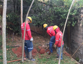 Cesama remodela mais 140 metros de redes de esgoto no Quintas das Avenidas