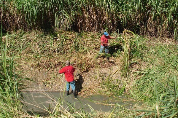 Córregos dos bairros Parque Guarani e Filgueiras recebem serviços de limpeza