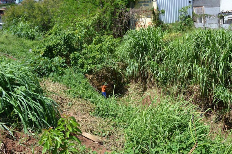 Limpeza dos cursos d`água - Cesama atua no Bairro Amazônia e no Distrito de Rosário de Minas