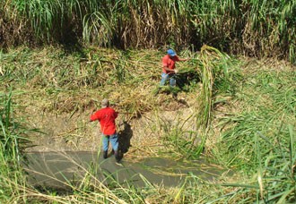 Córrego do Bairro Bom Clima passa por limpeza